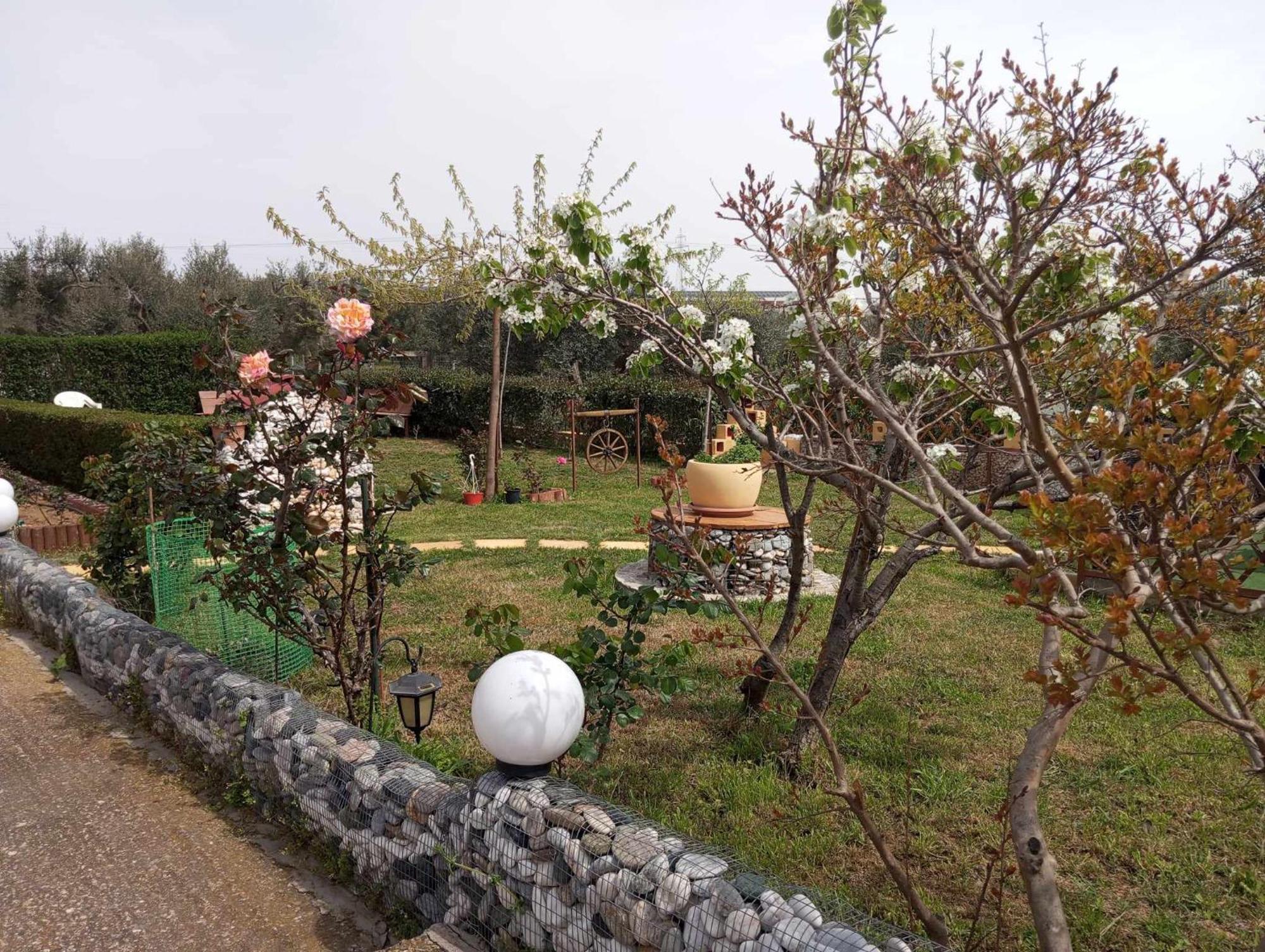 Dora'S Garden Villa Alexandroupoli Esterno foto
