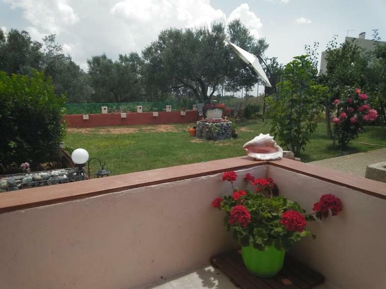Dora'S Garden Villa Alexandroupoli Esterno foto